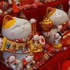 Why does Vietnam celebrate the year of the Cat instead of the Rabbit?