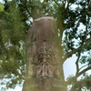 Mysterious stone pillars of Dam pagoda