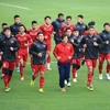 Football team practice ahead of final match