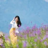 Fansipan flower valley enchants visitors