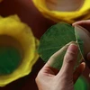 Young man gives new life to fallen leaves