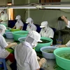 Vietnam holds huge potential in seaweed farming