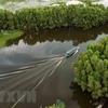 Mekong Delta attracts visitors with eco-tourism