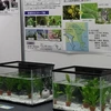 Toshiba Group Holds 21st Environmental Exhibition