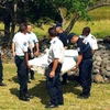 Un fragmento metálico, que es probable parte del avión MH370 de Malaysia Airlines, fue encontrado cerca de la isla francesa de Reunion en el Océano Índico (Fuente: AFP/ VNA)