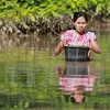 ASEAN brinda asistencia a víctimas de inundaciones en Myanmar