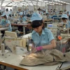 Textil vietnamita busca elevar uso de materias primas nacionales