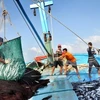 Ligero aumento de producción pesquera de Vietnam
