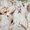  Vietnam finaliza investigación sobre pollos importados de EE.UU.