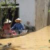 Enormes pérdidas en Thanh Hoa por intensas lluvias