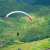 Parachutes revolotean sobre arrozales dorados de Lim Mong 