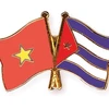 Organización de amistad vietnamita regala computadores al ICAP