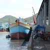 En servicio mayor puerto pesquero de Ba Ria-Vung Tau