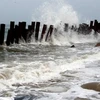 Región norteña de Vietnam en alerta por afectaciones de tifón Mujigae