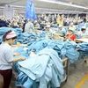 Vietnam diversificará fuentes de suministro de materias textiles