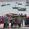 Daños por desastres podrán lastrar cinco por ciento del PIB de Vietnam
