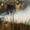  Indonesia sigue en lucha contra incendios forestales y brumas