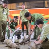 Honran a vietnamitas por esfuerzos en protección de animales salvajes
