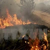 Emisiones por incendios en Indonesia superan a las de EE.UU