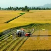 Aspira grupo japonés invertir en maquinarias agrícolas de Vietnam
