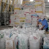 Exporta Vietnam más de cinco millones toneladas de arroz