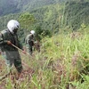Sudcorea ayuda a Vietnam en desactivación de bombas y minas