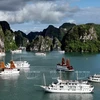 Cruceros en la bahía de Ha Long
