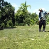 Sur y Sureste de Asia cooperan en desarrollo rural