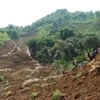 Deslave deja al menos tres muertos en Indonesia