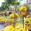 Recorrido de flores embellecerá Ciudad Ho Chi Minh en Año Nuevo Lunar