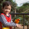 Vietnam tiene su primer parque Safari zoológico