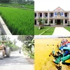 Provincia vietnamita aumenta inversiones en construcción de nueva ruralidad