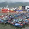 Provincia central de Quang Ngai establece reserva marina