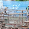 Mayo, mes de acción por seguridad e higiene laboral en Vietnam