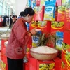 Busca sector arrocero de Vietnam penetrar en 2016 en mercados de altos requisitos
