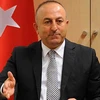 Indonesia y Turquía intensifican cooperación antiterrorista