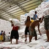 Exportación de arroz vietnamita muestra señales positivas a principios de año