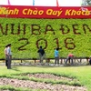 Amplias actividades en Vietnam para saludar Año del Mono