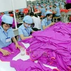 Mercado doméstico, futuro prometedor para empresas vietnamitas de prendas de vestir