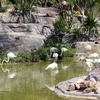 Un día en parque zoológico Vinpearl Safari Phu Quoc