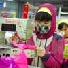 Experto británico: TPP ayudará a impulsar exportaciones textiles de Vietnam
