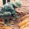 Ayuda a provincia vietnamita en desactivación de bombas y minas