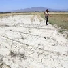 Cambio climático: Provincia vietnamita declara la situación de “catastrófica”