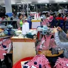 Llaman en Vietnam a inversión europea en zonas industriales