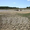 Delta del Mekong enfrenta graves impactos del cambio climático
