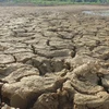 Malasia adopta medidas para ayudar zonas afectadas por severa sequía