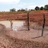 Organizaciones globales ayudará a localidades vietnamitas afectadas por sequía