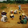 Vestigios paleolíticos hallados revelan aparición del hombre en Vietnam