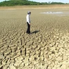 Sequía continúa afectando provincias centrales y sureñas de Vietnam