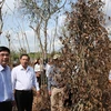 Exigen aprovechar con eficiencia fuentes hídricas ante sequía en Binh Phuoc